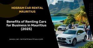 Benefits of Renting Cars for Business in Mauritius (2025)