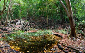 car rental mauritius ruins of bras d'eau