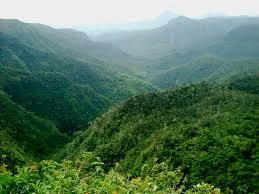 car-rental-mauritius-machabee-trail