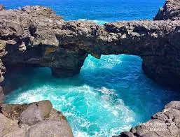 car rental mauritius pond naturel